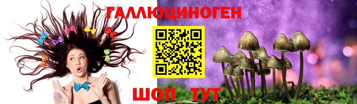 Шали  Псилоцибиновые грибы мухоморы  Вход с VPN 
